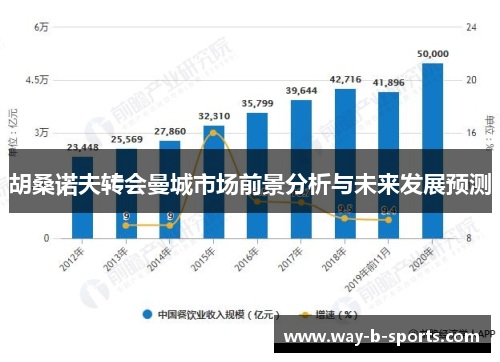 胡桑诺夫转会曼城市场前景分析与未来发展预测