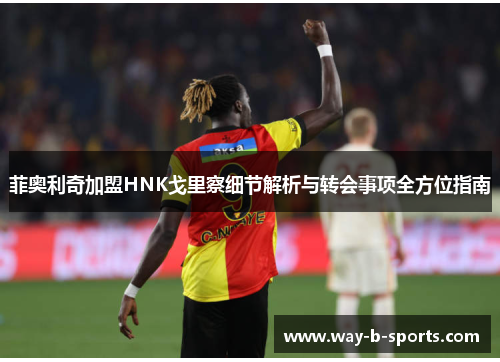 菲奥利奇加盟HNK戈里察细节解析与转会事项全方位指南 菲奥利奇加盟HNK戈里察细节解析与转会事项全方位指南