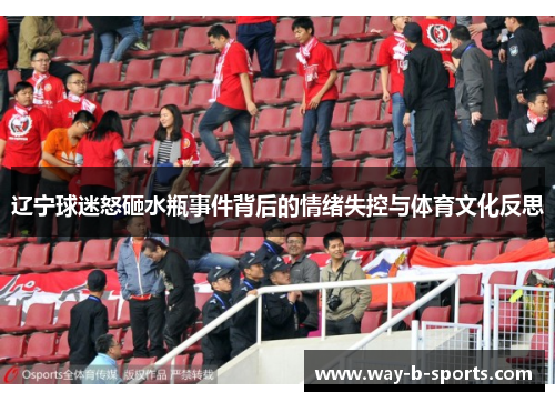 辽宁球迷怒砸水瓶事件背后的情绪失控与体育文化反思 辽宁球迷怒砸水瓶事件背后的情绪失控与体育文化反思