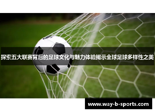 探索五大联赛背后的足球文化与魅力体验揭示全球足球多样性之美