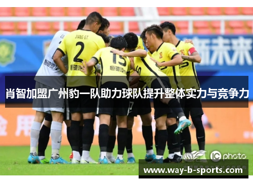 肖智加盟广州豹一队助力球队提升整体实力与竞争力