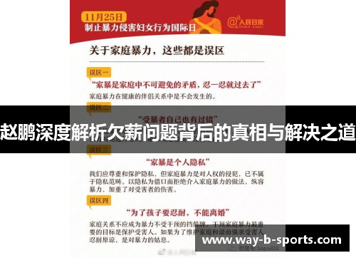 赵鹏深度解析欠薪问题背后的真相与解决之道